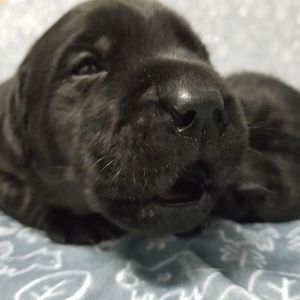 Meet your Posher, Cassiy